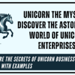 Unicorn Business